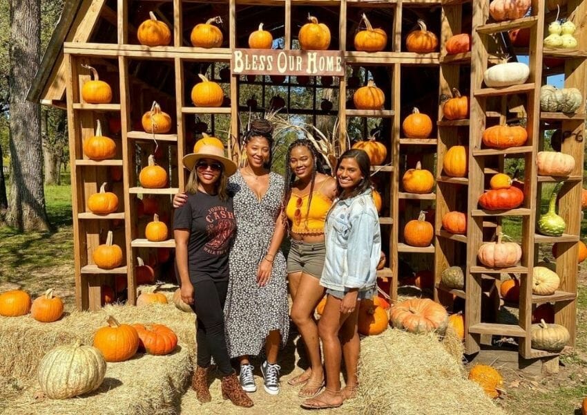 pumpkin patch houston - p6 farm