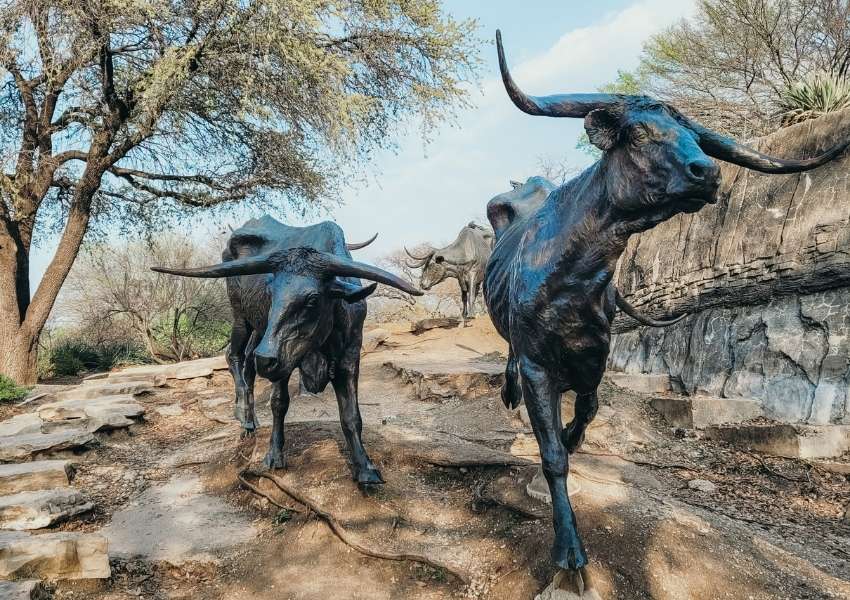 Free things to do in downtown Dallas Pioneer Plaza-dallas-thingstodoindallas|Dallas Museum of Art-dallas-thingstodoindallas|Thanks Giving Square-dallas-thingstodoindallas|Thanks-Giving Square-dallas-thingstodoindallas|JFK Memorial-dallas-thingstodoindallas