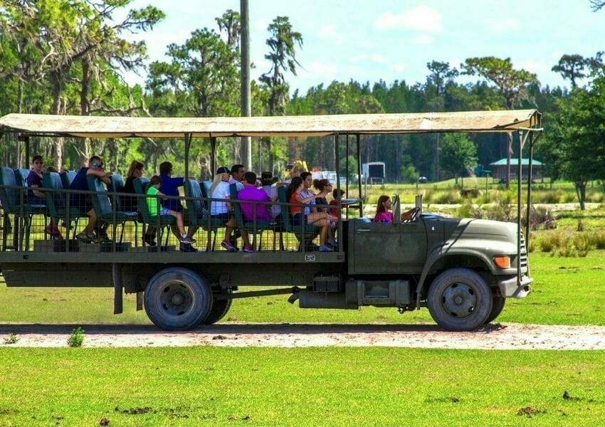 Take a Wildlife Safari - Lakeland date ideas