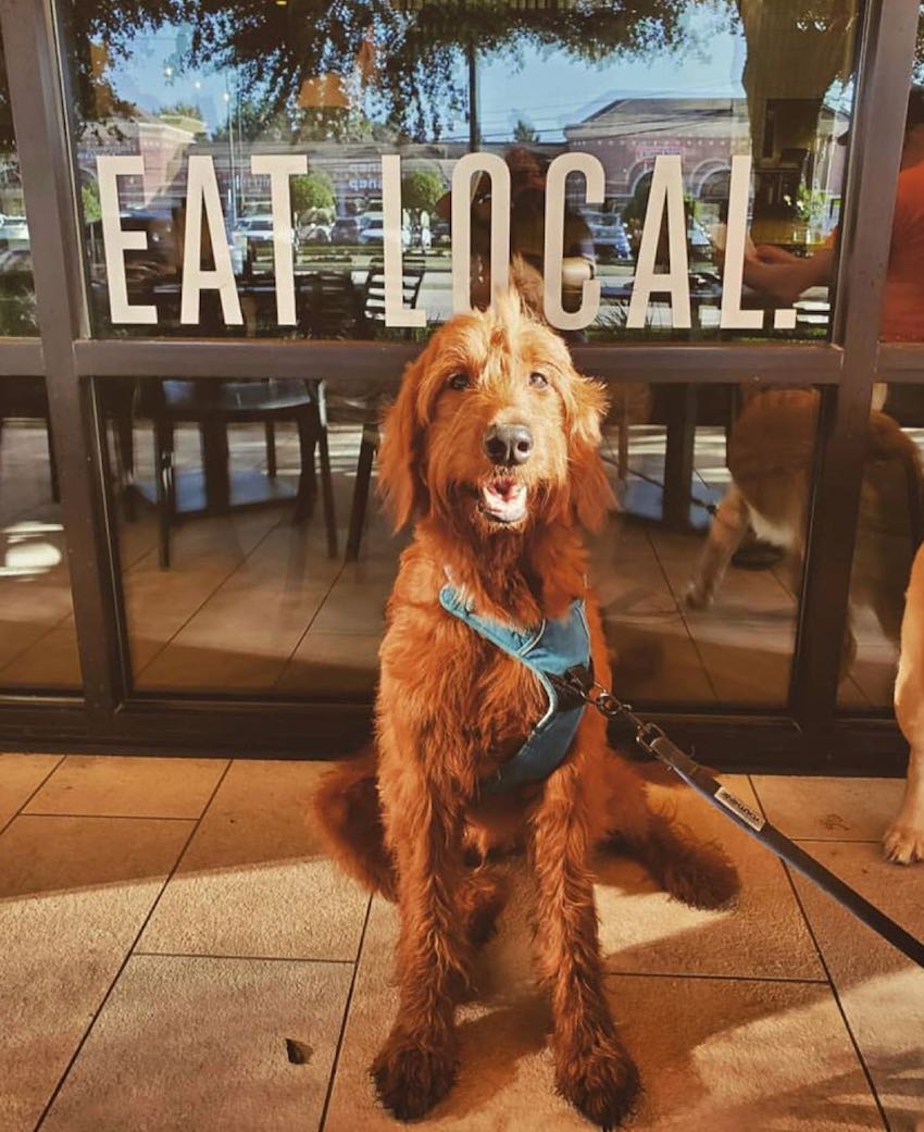 restaurants in Uptown Houston