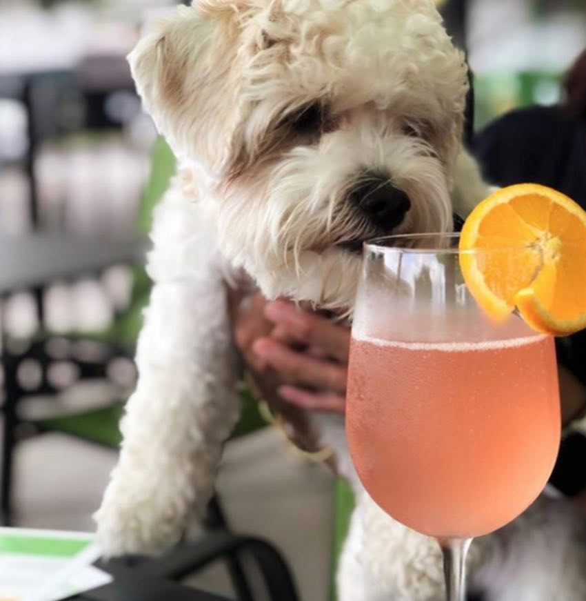 restaurants in Uptown Houston