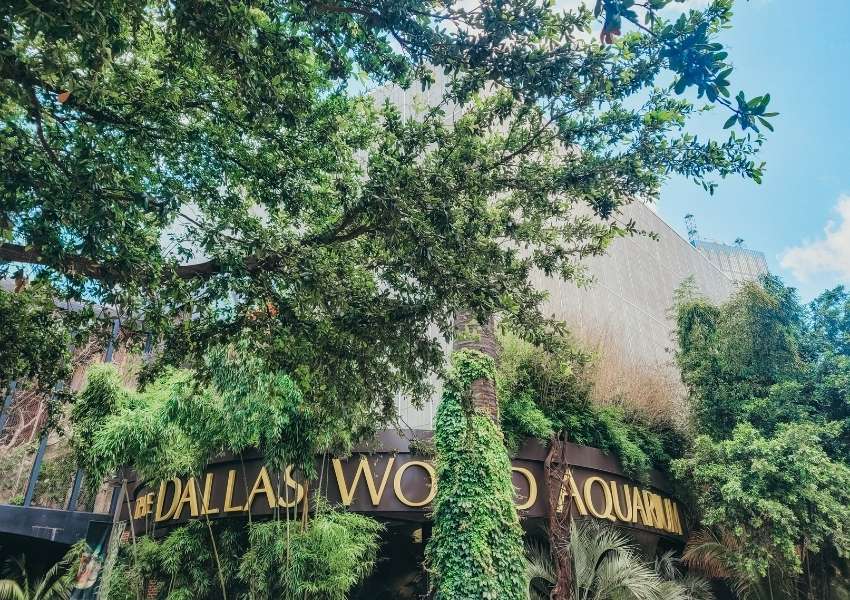 Things to do in Dallas with Kids The Dallas World Aquarium-dallas-thingstodoindallas|Great Wolf Lodge-dallas-thingstodoindallas|||Jurassic World The Exhibition-dallas-thingstodoindallas|Dallas Zoo-dallas-thingstodoindallas|Hawaiian Falls Waterpark-dallas-thingstodoindallas||Children's Aquarium-dallas-thingstodoindallas (1)