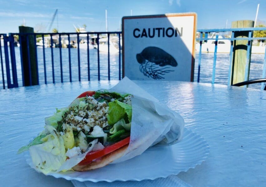 waterfront restaurants in tarpon springs