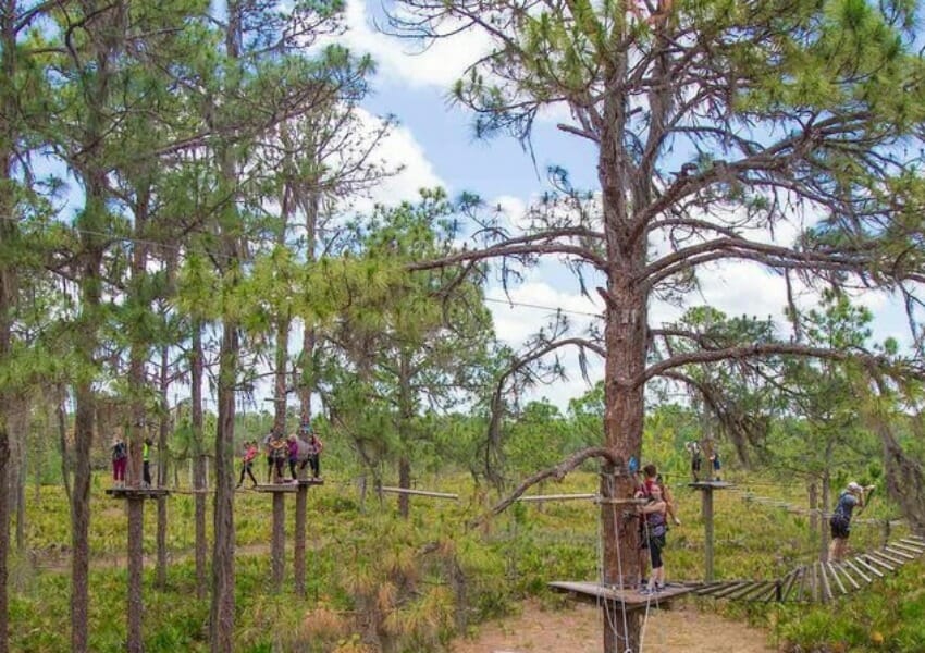 Zip Lining Near Tampa Bay