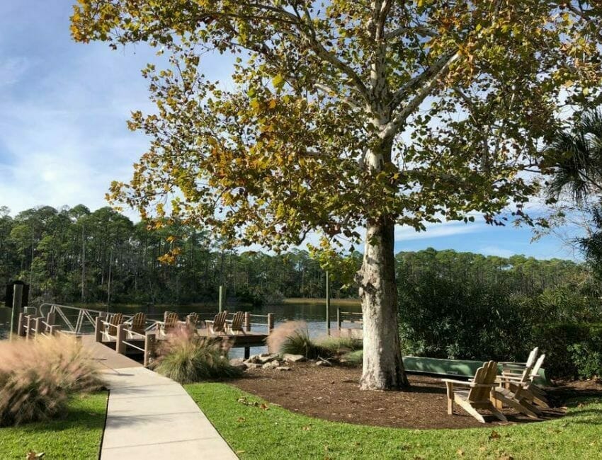 Seafood restaurants in Ponte Vedra