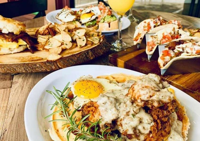 restaurants in North Tampa