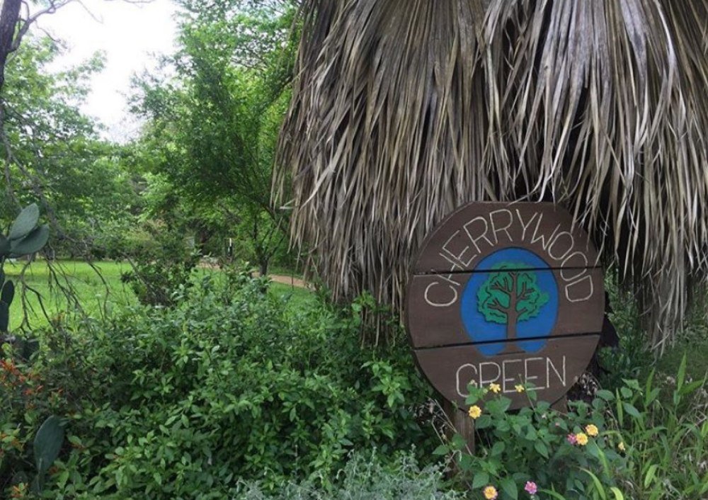 Let Your Pup Run Wild at These Austin Dog Parks
