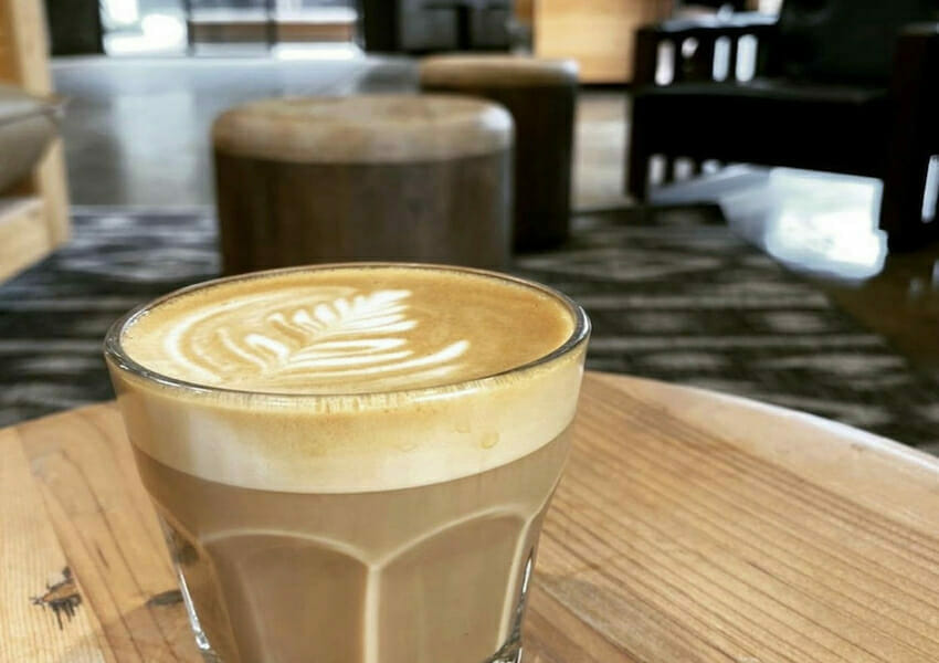 best coffee shops in tampa best coffee in tampa coffee shops tampa