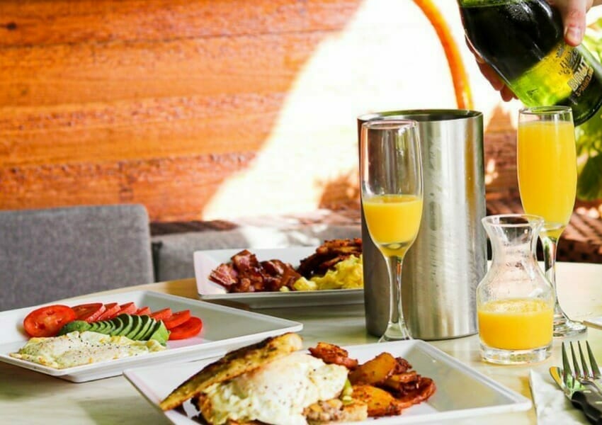 best brunch in tampa tampa brunch brunch tampa