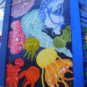 jellyfish.jpg