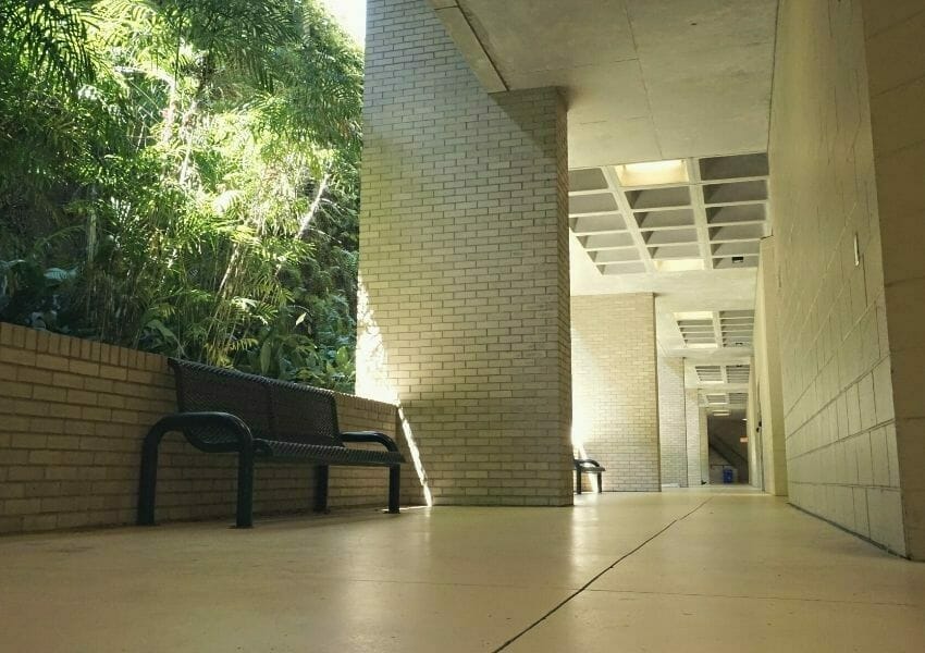 study spots at usf