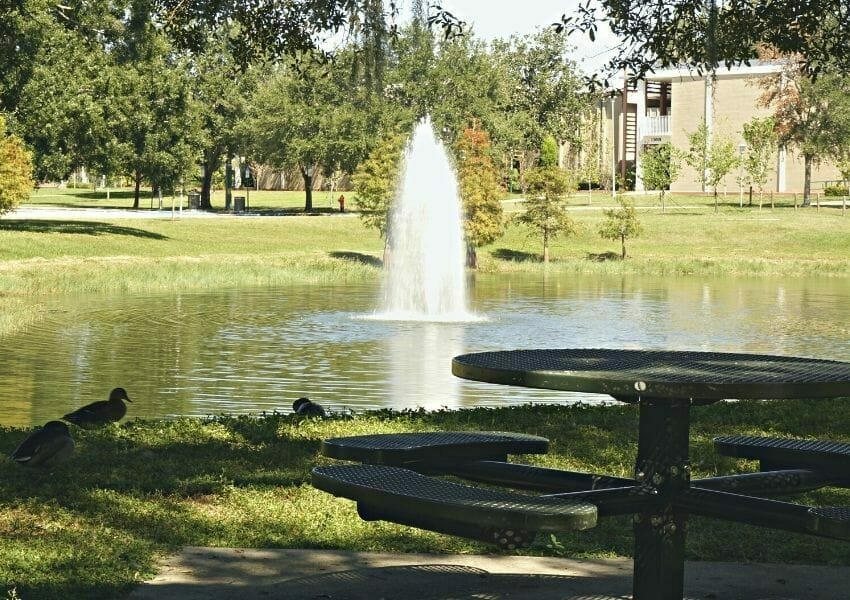 study spots at usf