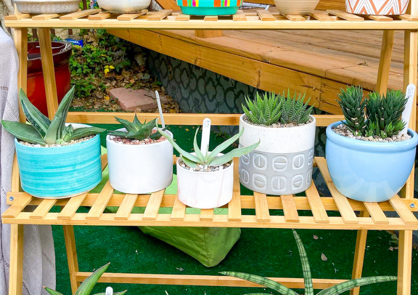 Shop Local Businesses: Weekly Markets Around Austin