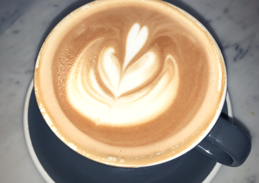 The Best Study Spots in Austin