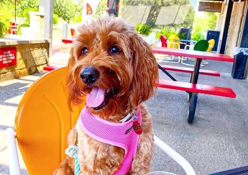 patios in austin
