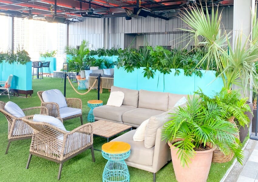 The Ultimate Guide to Austin for Newbies