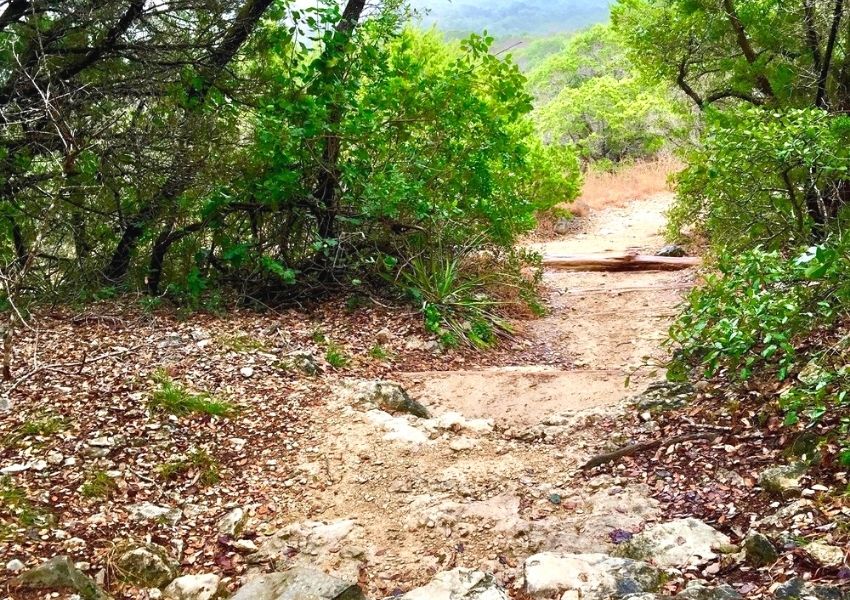 hiking spots in austin