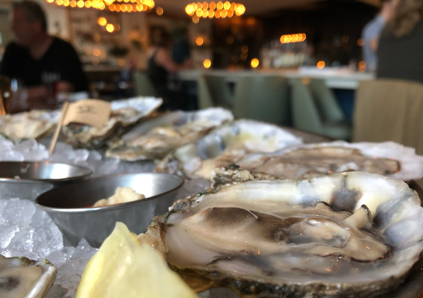the osprey restaurants downtown orlando