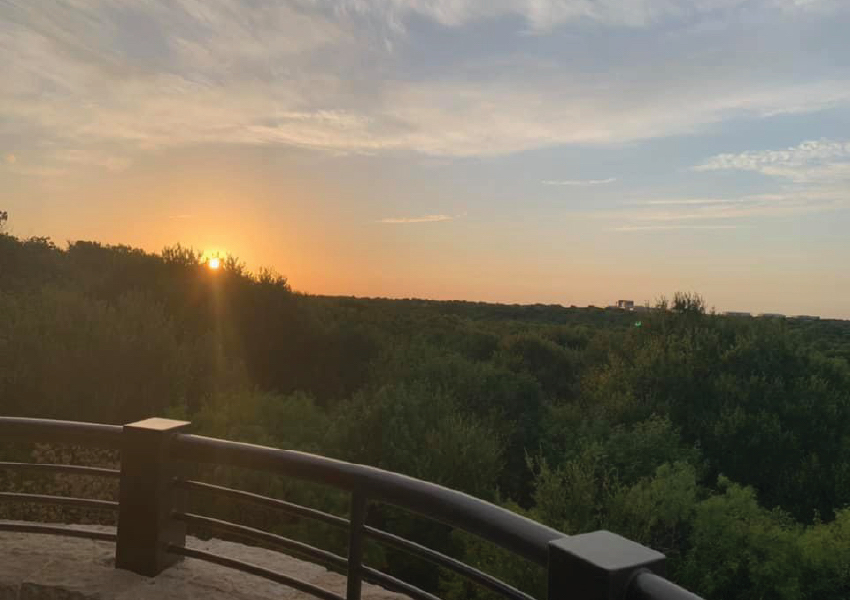Hiking in Dallas Arbor Hills Nature Preserve | Hiking spots around Dallas