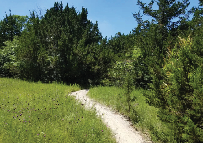 Oak Cliff Nature Preserve
