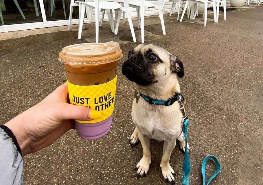 La La Kind Cafe