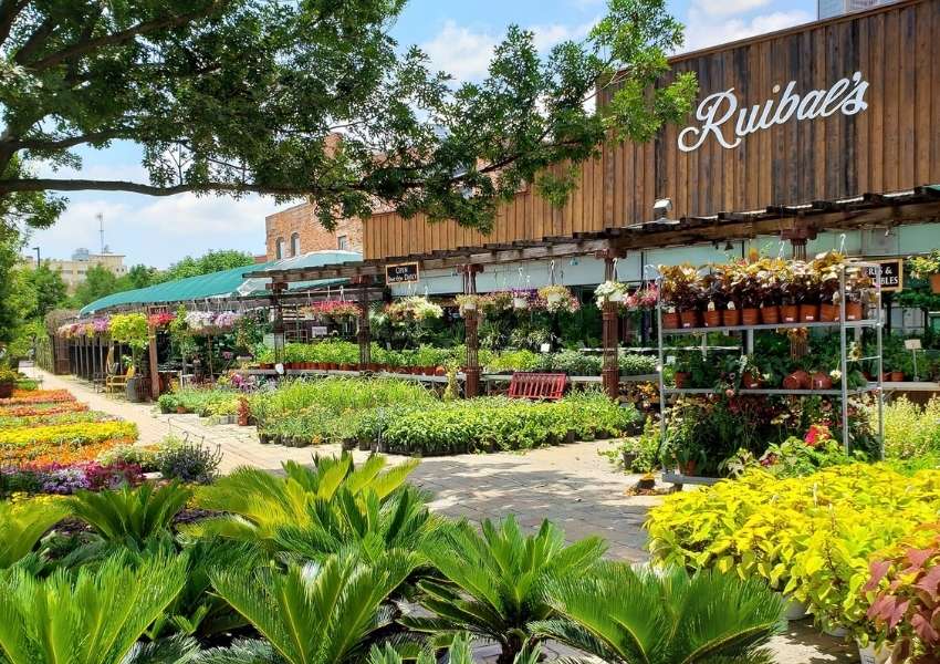 Ruibal's Plants of Texas-dallas-stufftodoindallas