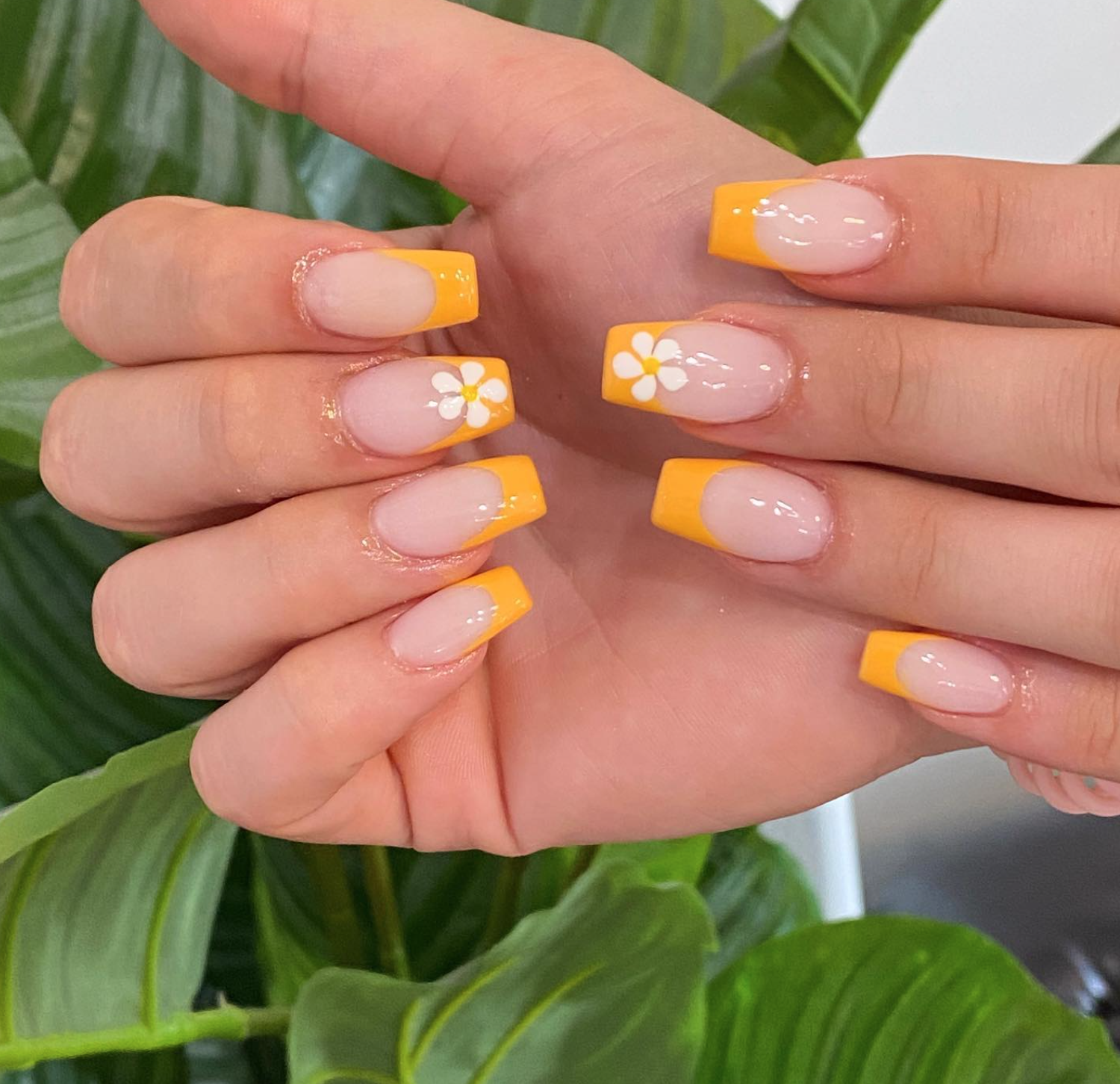 5+ Nail Salons in Austin: Treat Yourself Today