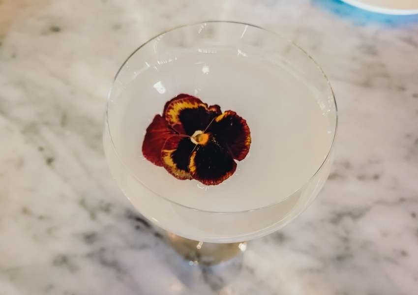Terra-at-Eataly-Drinks-dallas-thingstodoindallas.jpg