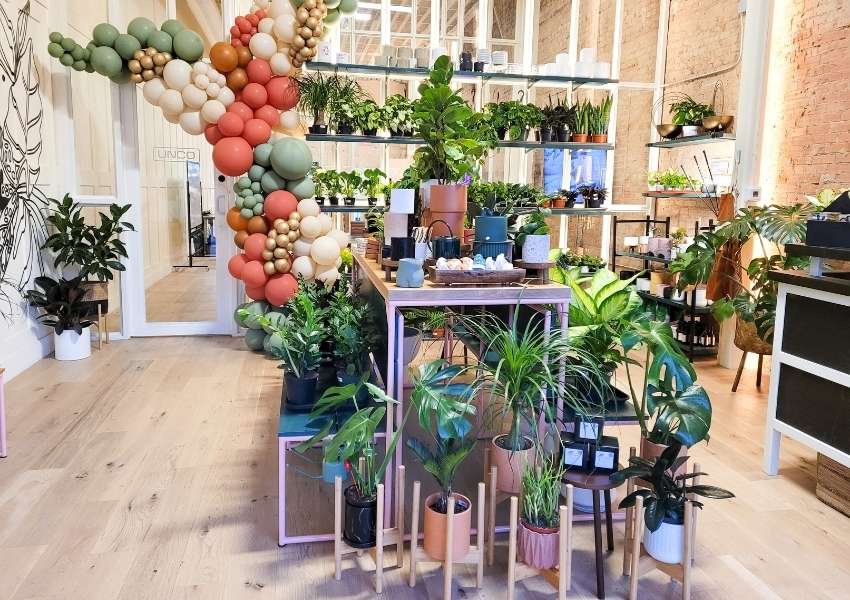 The Planting Hand-dallas-stufftodoindallas