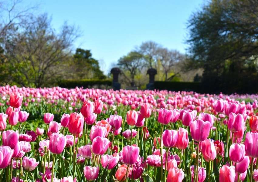 Outdoors in Dallas