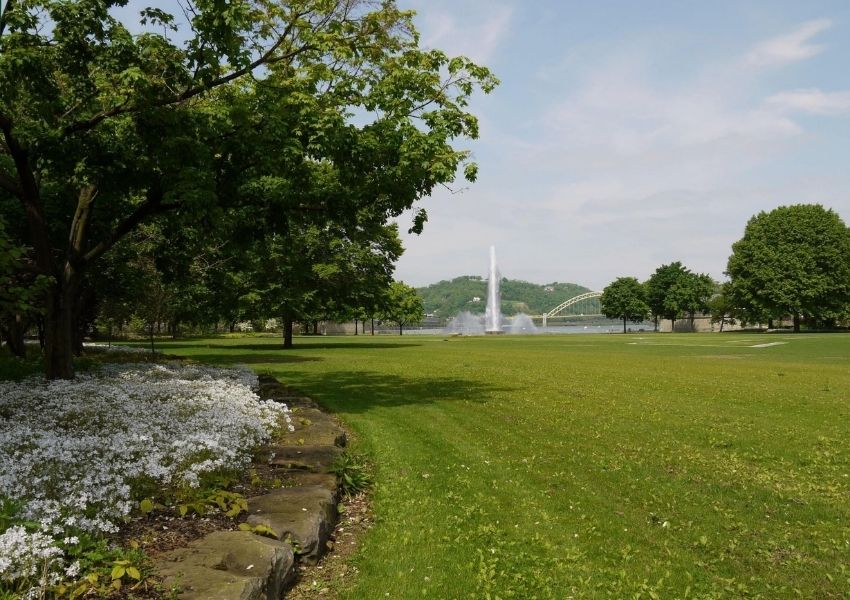 july fairs and festivals