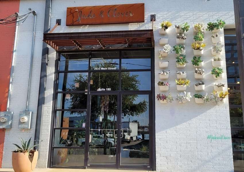 Dallas Plant Shops