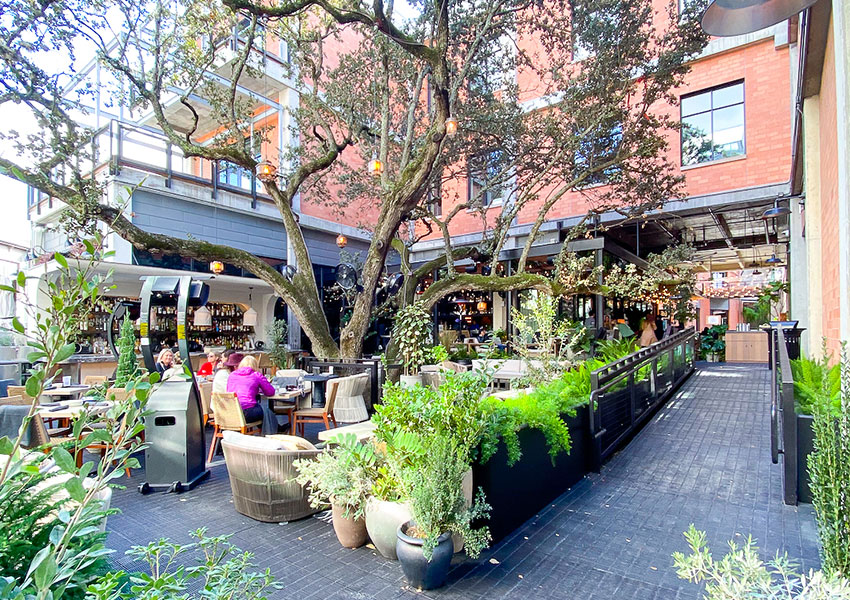 The Most Instagrammable Restaurants in Austin