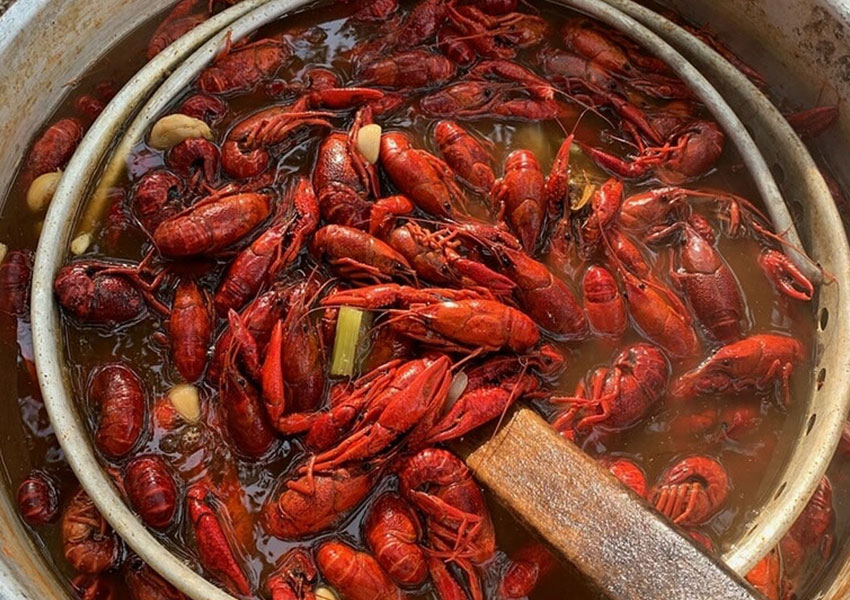 10+ Best Restaurants to Find Crawfish in Austin