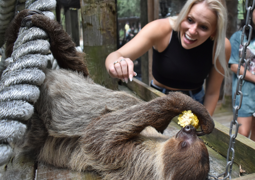 Get Up Close With Animals at These Orlando Zoos