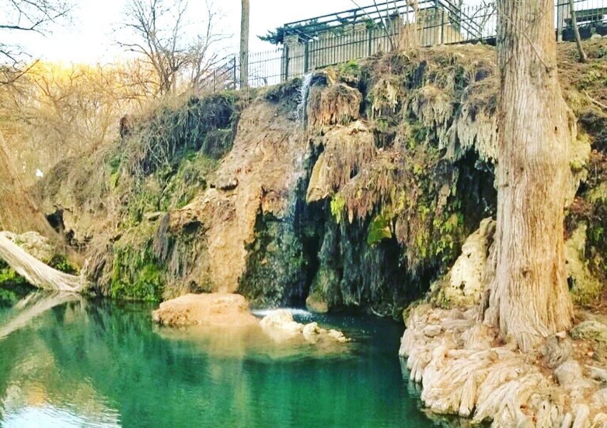 Swimming holes in Austin