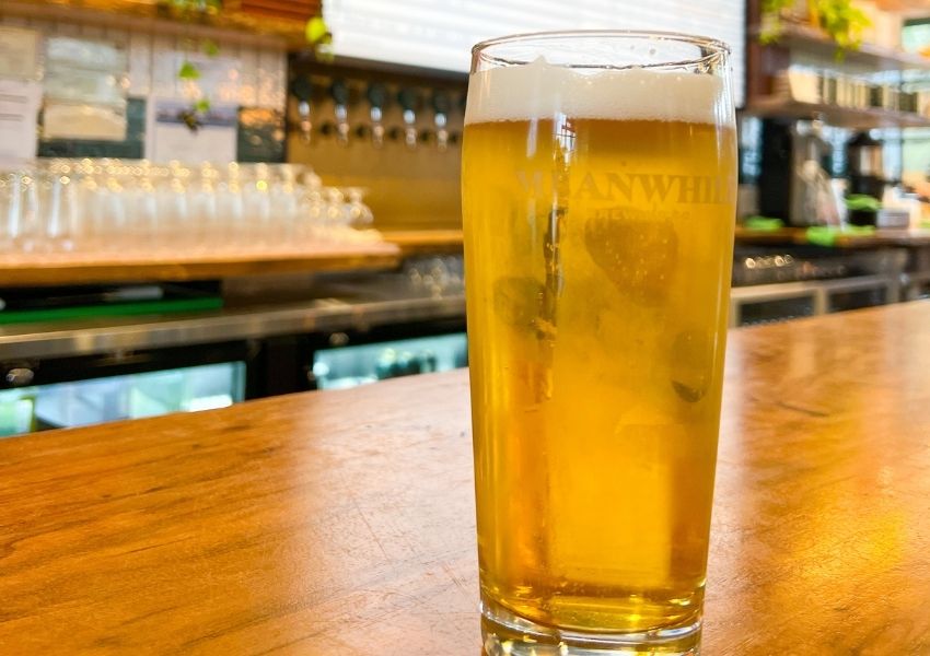 Top 10 Best Breweries in South Austin