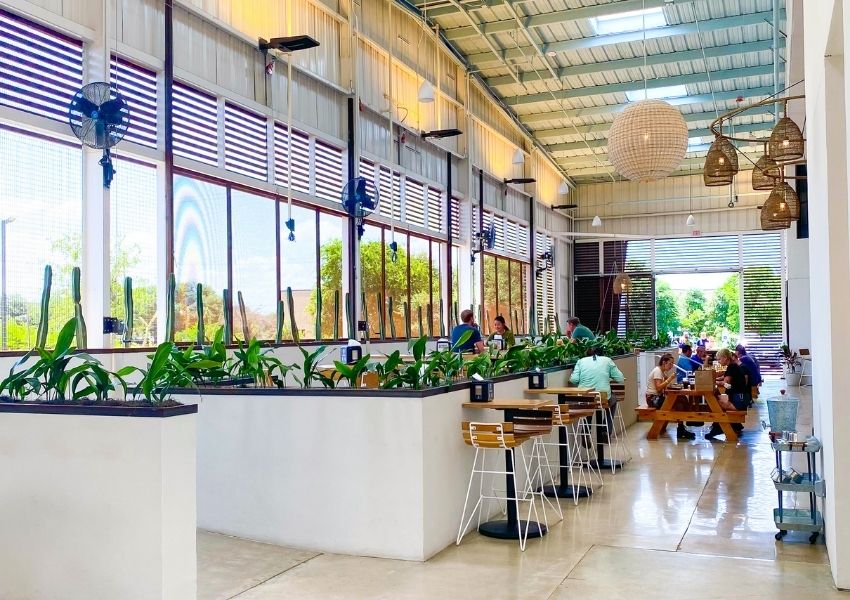 Top 10 Best Breweries in South Austin