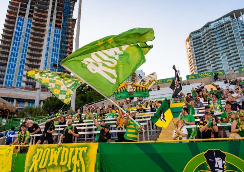 things to do in tampa bay