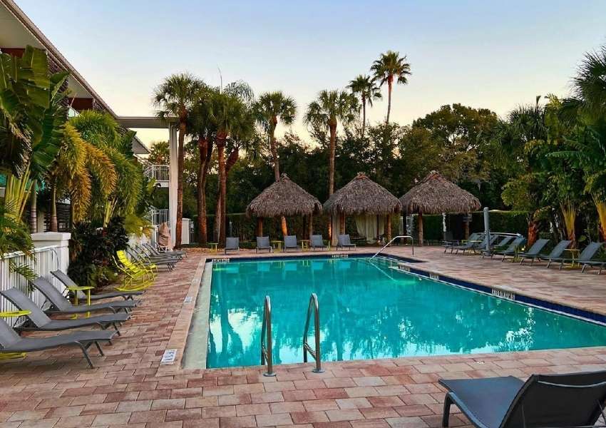 hotels in tampa tampa hotels best hotels in tampa