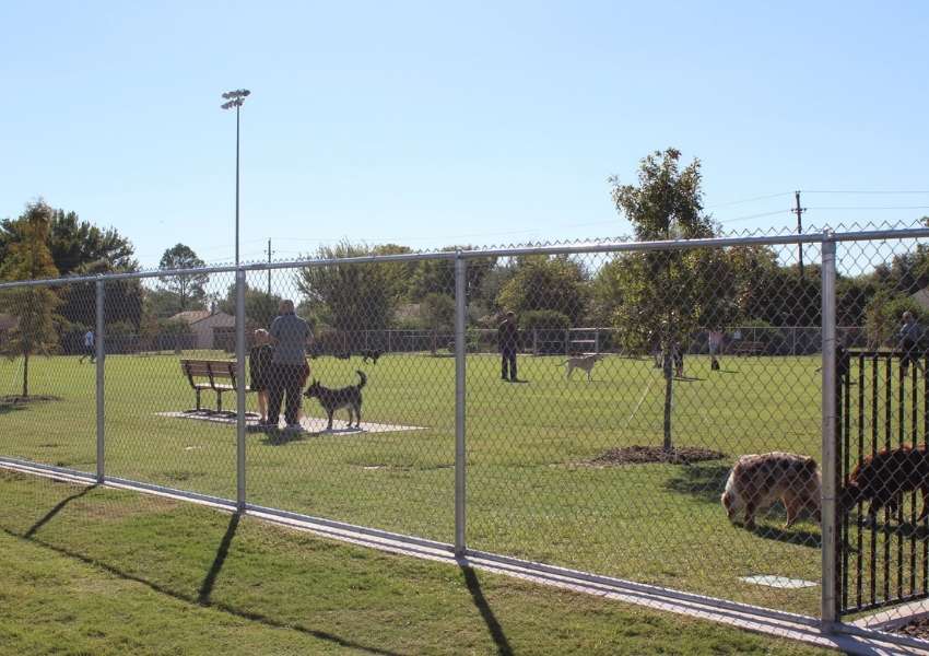 dog parks in Dallas