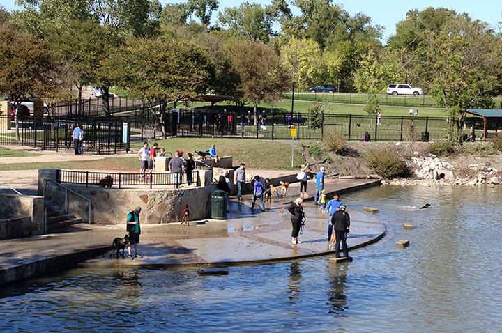 dog parks in Dallas
