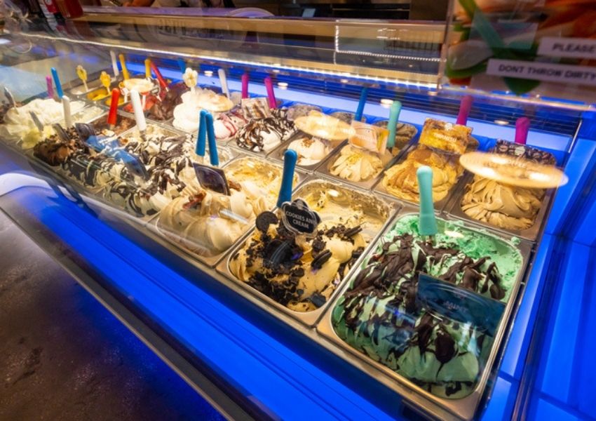 Pet-friendly spots in Downtown Tampa: Gelato-Go, Dog-Friendly Restaurants