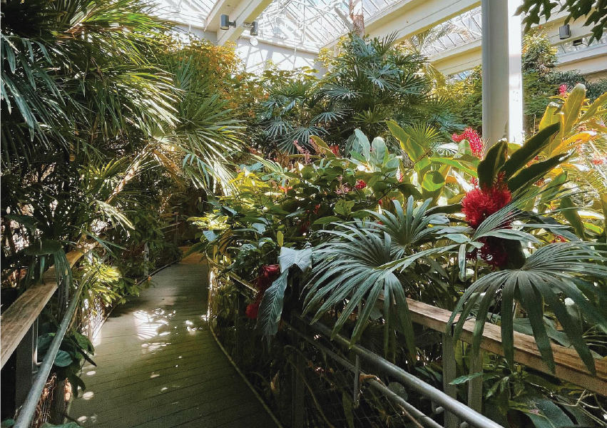 Texas Discovery Gardens