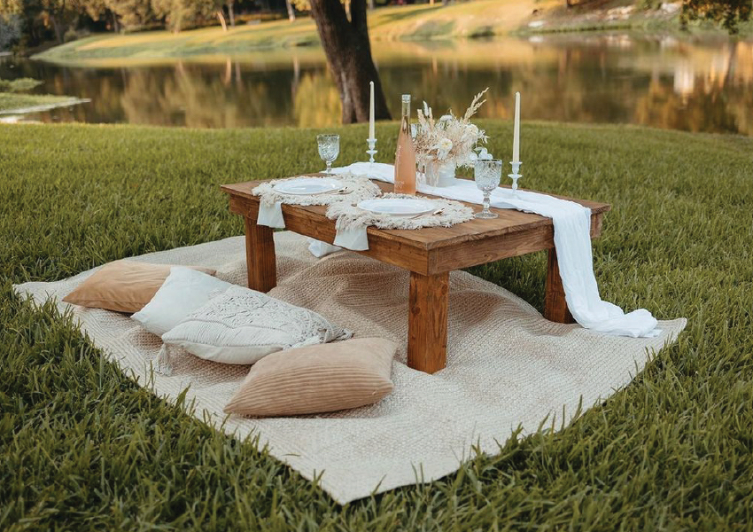 Picnic companies in Dallas Not Your Average Picnic LLC