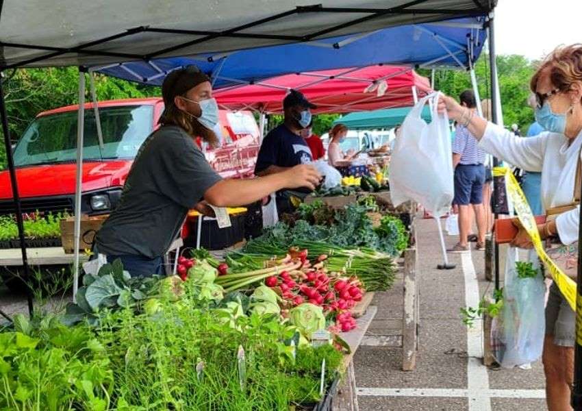 Bethel Park Farmers Market Pittsburgh