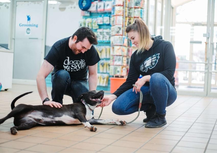 Philly animal shelters