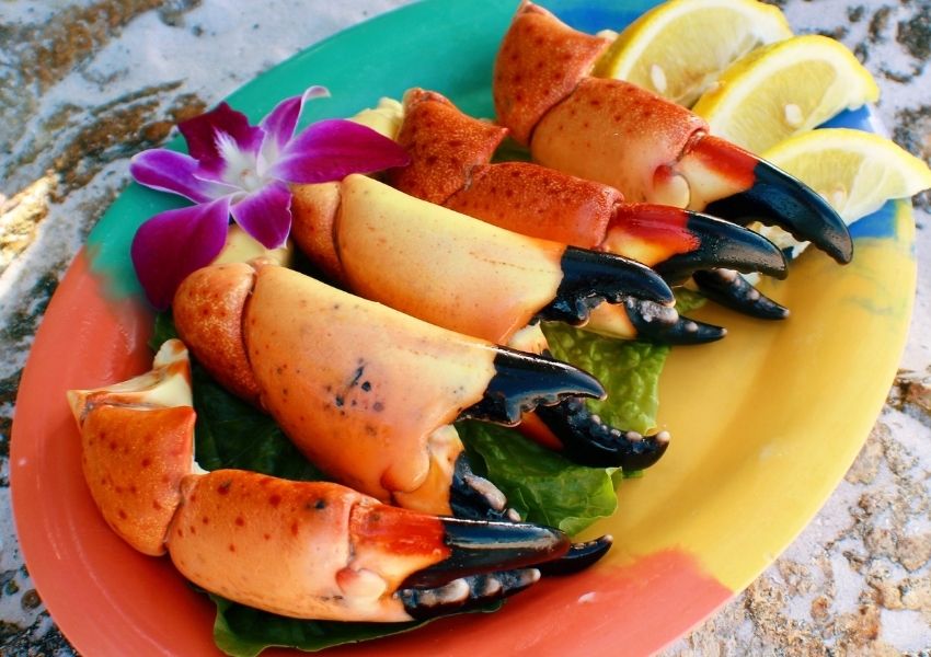 seafood in tampa fl