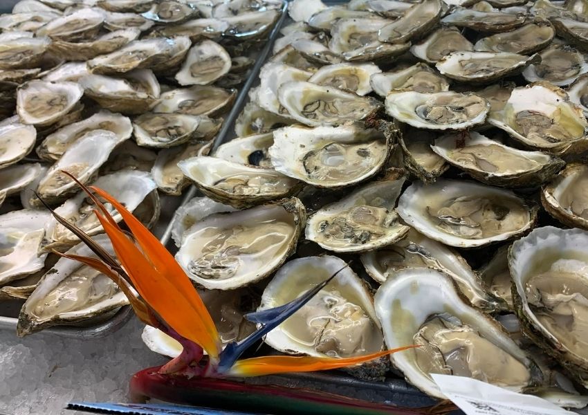 seafood in tampa fl