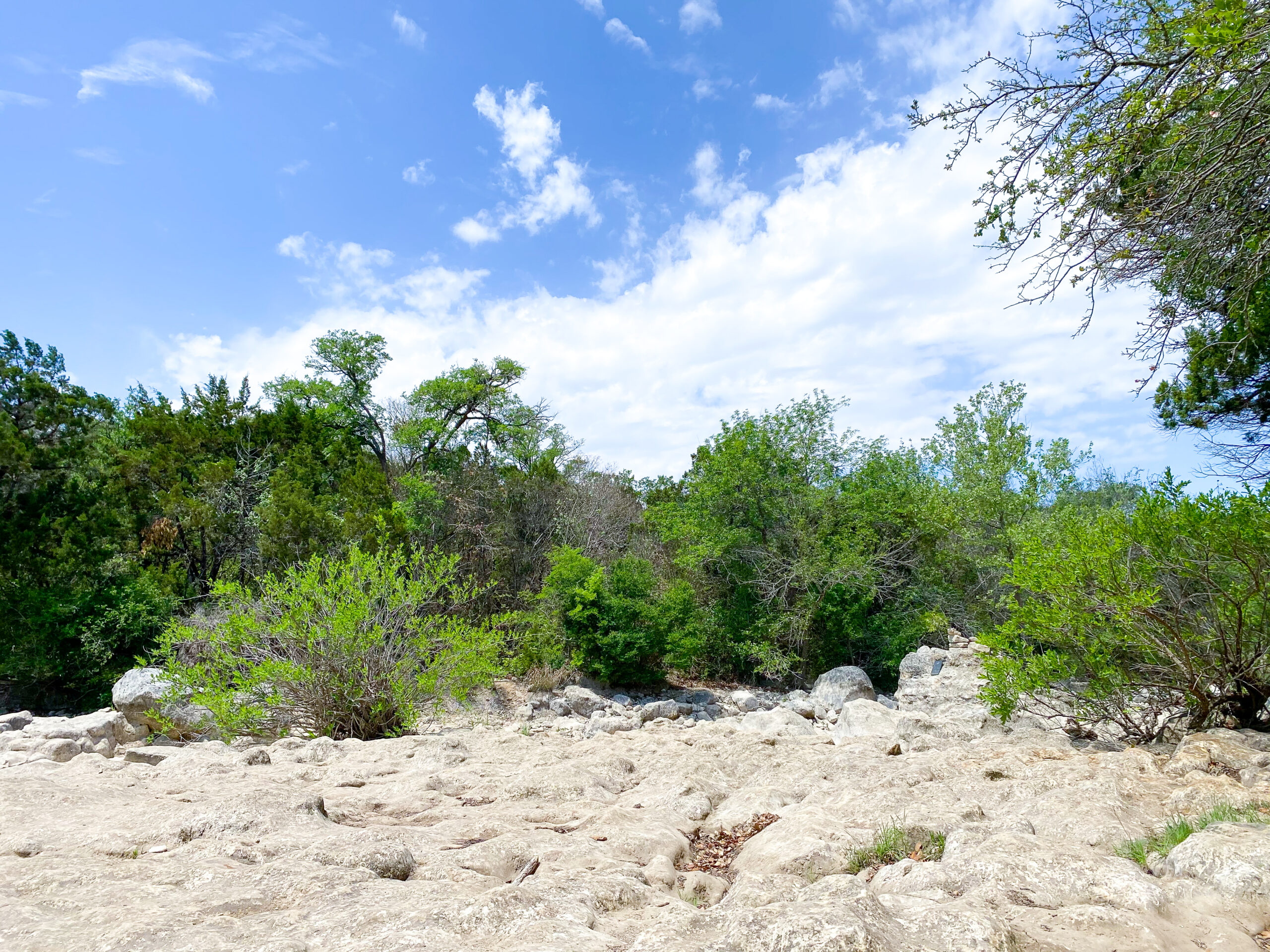 10 Free Things to Do in Austin for a Happy Wallet